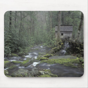USA, Tennessee, Great Smoky Mountains National 3 Mouse Mat