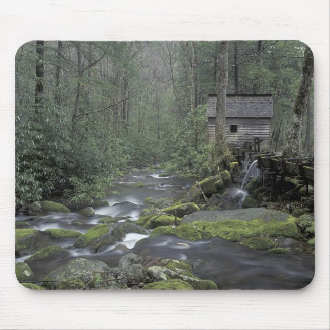 USA, Tennessee, Great Smoky Mountains National 3 Mouse Mat (Front)