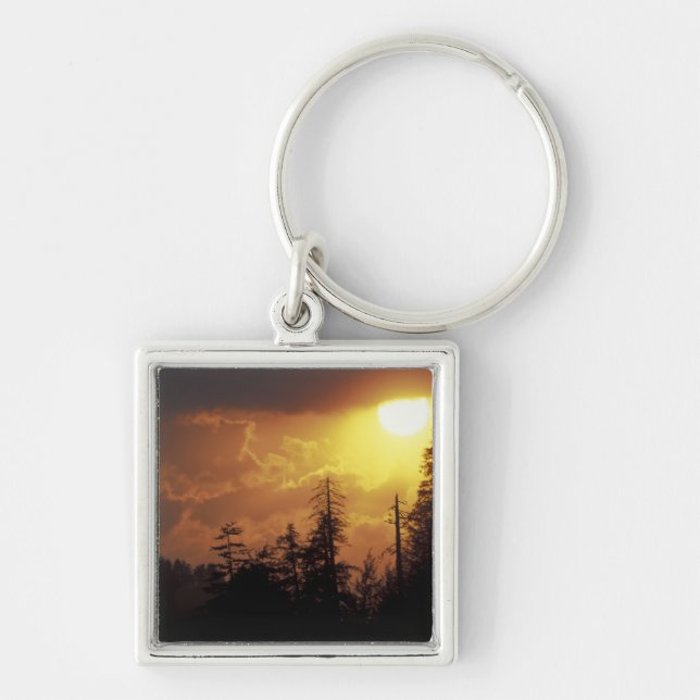 USA, Tennessee, Great Smoky Mountains NP. 2 Key Ring (Front)