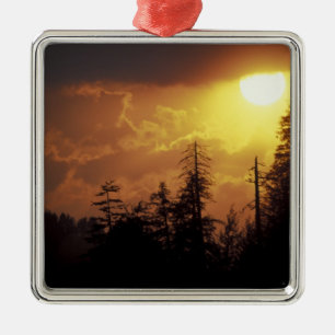 USA, Tennessee, Great Smoky Mountains NP. 2 Metal Tree Decoration
