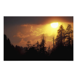 USA, Tennessee, Great Smoky Mountains NP. 2 Photo Print