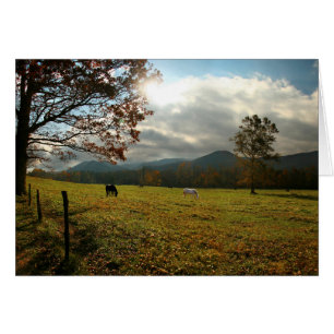 USA, Tennessee. Horses In Cades Cove Valley