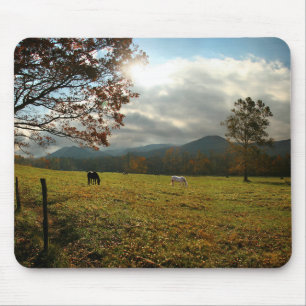 USA, Tennessee. Horses In Cades Cove Valley Mouse Mat