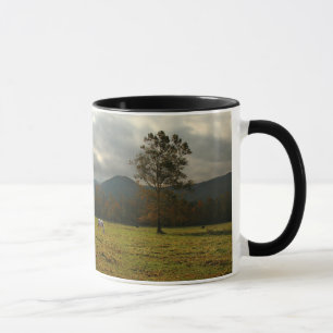 USA, Tennessee. Horses In Cades Cove Valley Mug