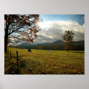 USA, Tennessee. Horses In Cades Cove Valley Poster