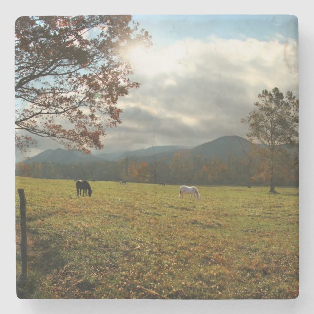 USA, Tennessee. Horses In Cades Cove Valley Stone Coaster (Front)