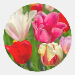 USA, Tennessee, Nashville Classic Round Sticker