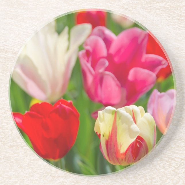 USA, Tennessee, Nashville Coaster (Front)