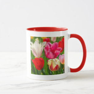 USA, Tennessee, Nashville Mug