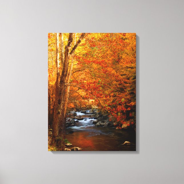 USA, Tennessee. Rushing Mountain Creek 2 Canvas Print (Front)