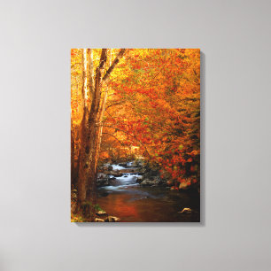 USA, Tennessee. Rushing Mountain Creek 2 Canvas Print
