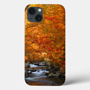 USA, Tennessee. Rushing Mountain Creek 2 iPhone 13 Case
