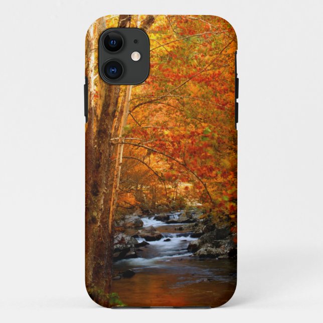USA, Tennessee. Rushing Mountain Creek 2 Case-Mate iPhone Case (Back)
