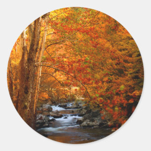 USA, Tennessee. Rushing Mountain Creek 2 Classic Round Sticker