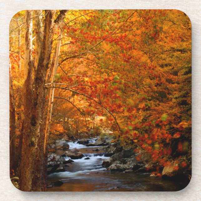 USA, Tennessee. Rushing Mountain Creek 2 Coaster (Front)