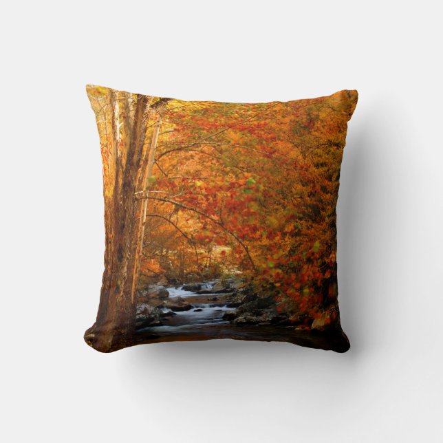 USA, Tennessee. Rushing Mountain Creek 2 Cushion (Front)