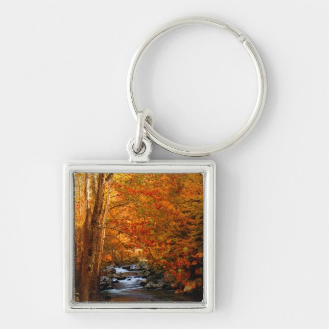USA, Tennessee. Rushing Mountain Creek 2 Key Ring (Front)