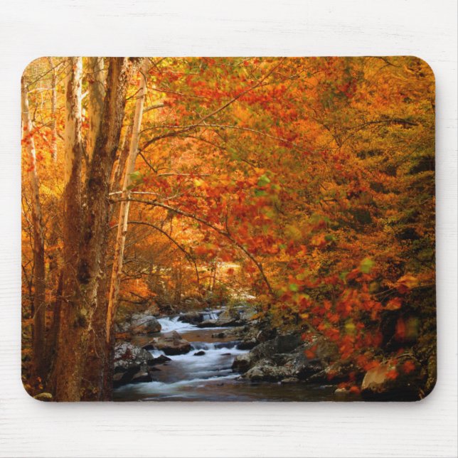 USA, Tennessee. Rushing Mountain Creek 2 Mouse Mat (Front)