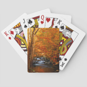 USA, Tennessee. Rushing Mountain Creek 2 Playing Cards