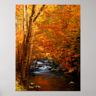USA, Tennessee. Rushing Mountain Creek 2 Poster