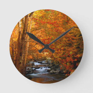 USA, Tennessee. Rushing Mountain Creek 2 Round Clock