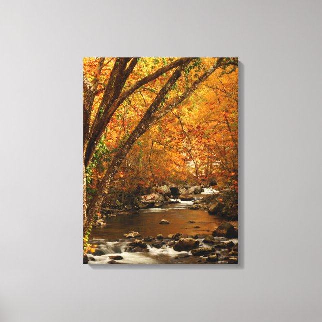 USA, Tennessee. Rushing Mountain Creek 3 Canvas Print (Front)