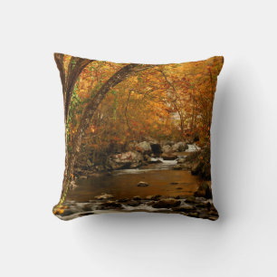 USA, Tennessee. Rushing Mountain Creek 3 Cushion