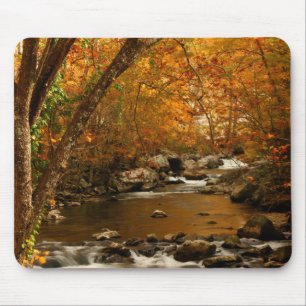 USA, Tennessee. Rushing Mountain Creek 3 Mouse Mat