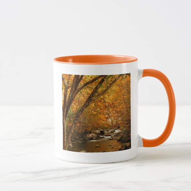 USA, Tennessee. Rushing Mountain Creek 3 Mug (Right)