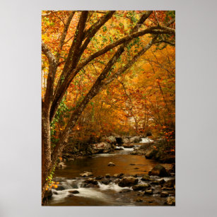 USA, Tennessee. Rushing Mountain Creek 3 Poster