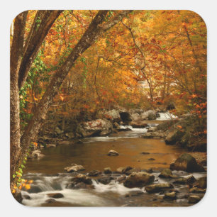 USA, Tennessee. Rushing Mountain Creek 3 Square Sticker