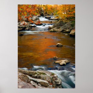 USA, Tennessee. Rushing Mountain Creek 4 Poster