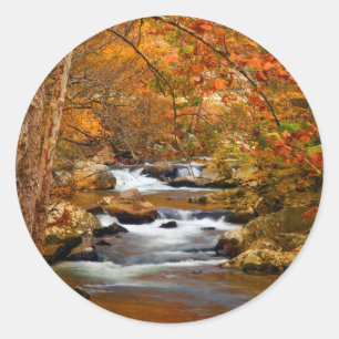 USA, Tennessee. Rushing Mountain Creek Classic Round Sticker