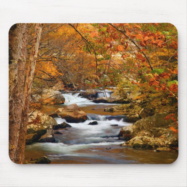 USA, Tennessee. Rushing Mountain Creek Mouse Mat (Front)
