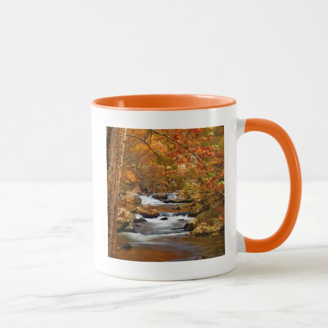 USA, Tennessee. Rushing Mountain Creek Mug (Right)