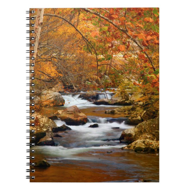 USA, Tennessee. Rushing Mountain Creek Notebook (Front)