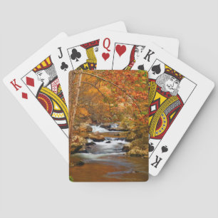 USA, Tennessee. Rushing Mountain Creek Playing Cards