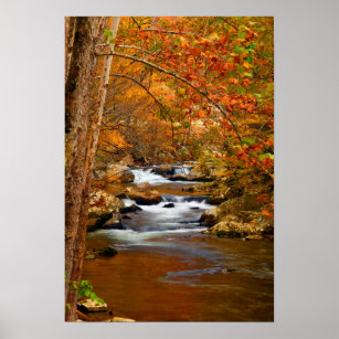 USA, Tennessee. Rushing Mountain Creek Poster