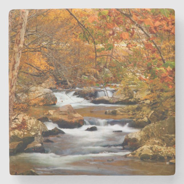 USA, Tennessee. Rushing Mountain Creek Stone Coaster (Front)