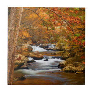USA, Tennessee. Rushing Mountain Creek Tile