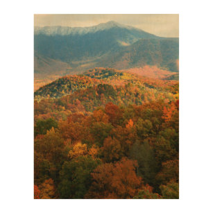 USA, Tennessee. View Of Snowy Mount Leconte Wood Wall Art