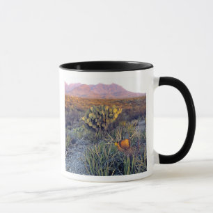 USA, Texas, Big Bend NP. A sandy pink dusk Mug