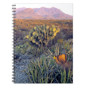 USA, Texas, Big Bend NP. A sandy pink dusk Notebook