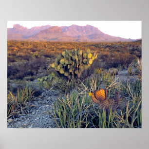USA, Texas, Big Bend NP. A sandy pink dusk Poster