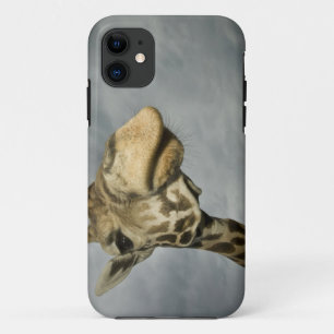 USA, Texas, Fossil Rim Wildlife Area, giraffe iPhone 11 Case