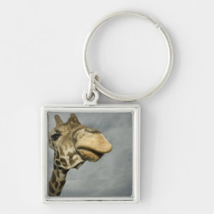 USA, Texas, Fossil Rim Wildlife Area, giraffe Key Ring
