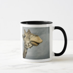 USA, Texas, Fossil Rim Wildlife Area, giraffe Mug