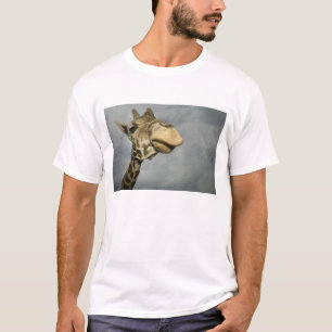 USA, Texas, Fossil Rim Wildlife Area, giraffe T-Shirt