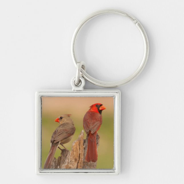 USA, Texas, Hidalgo County. Cardinal Pair Key Ring (Front)