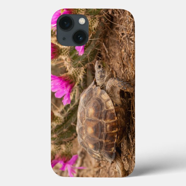 USA, Texas, Hidalgo County. Tortoise Case-Mate iPhone Case (Back)